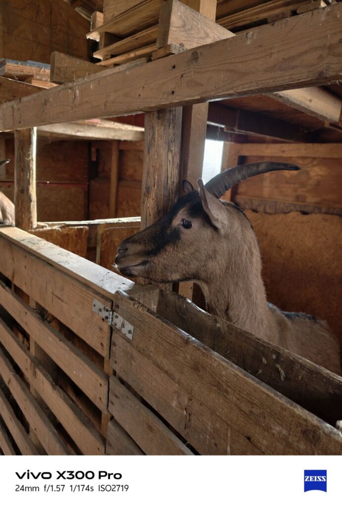 أنا أعيش X300 PRO