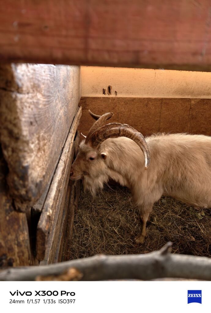 أنا أعيش X300 PRO