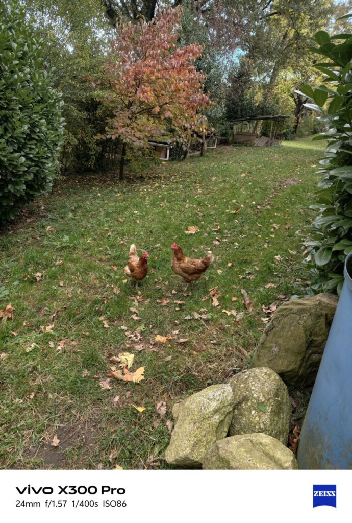 أنا أعيش X300 PRO