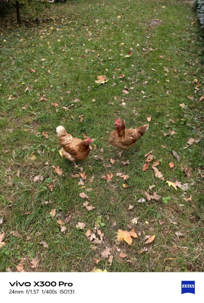 أنا أعيش X300 PRO