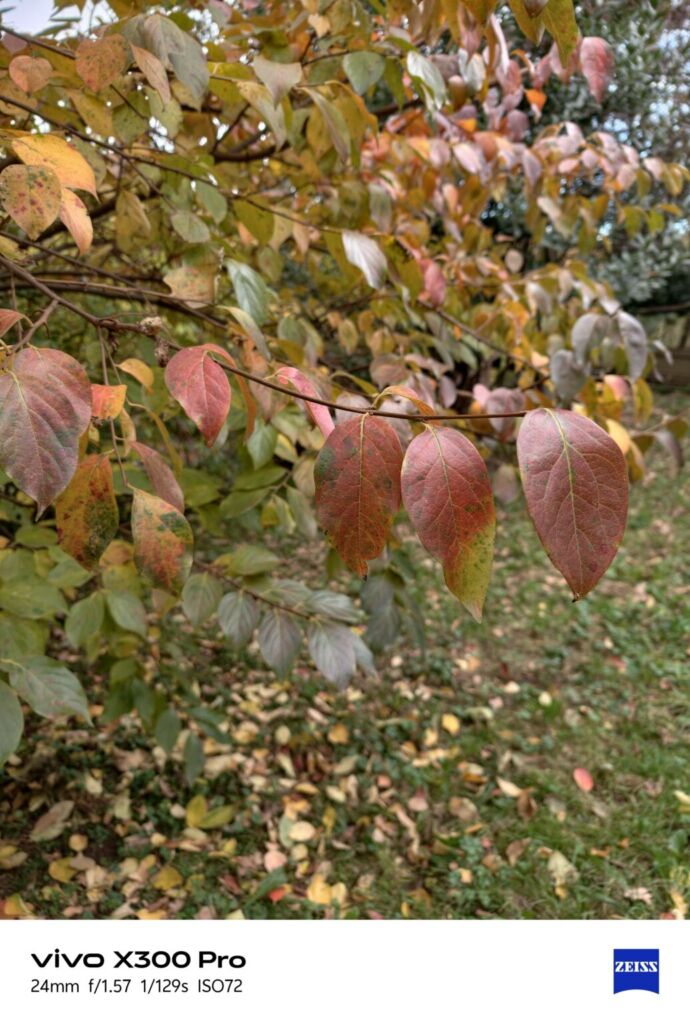 أنا أعيش X300 PRO