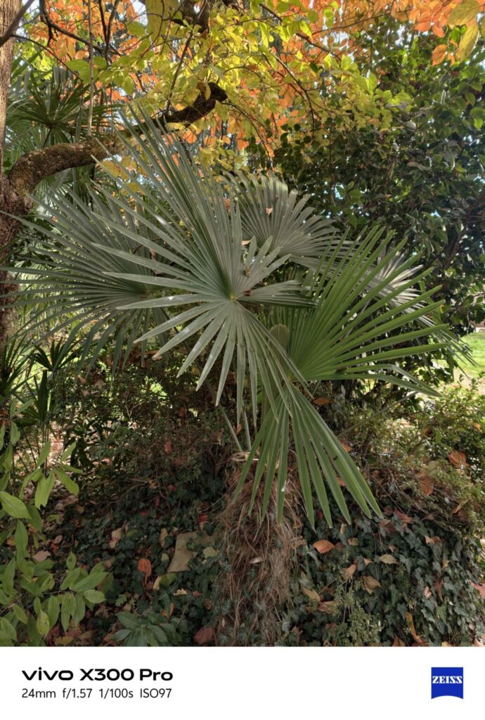 أنا أعيش X300 PRO