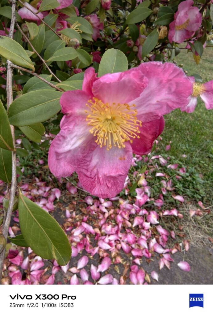 أنا أعيش X300 PRO