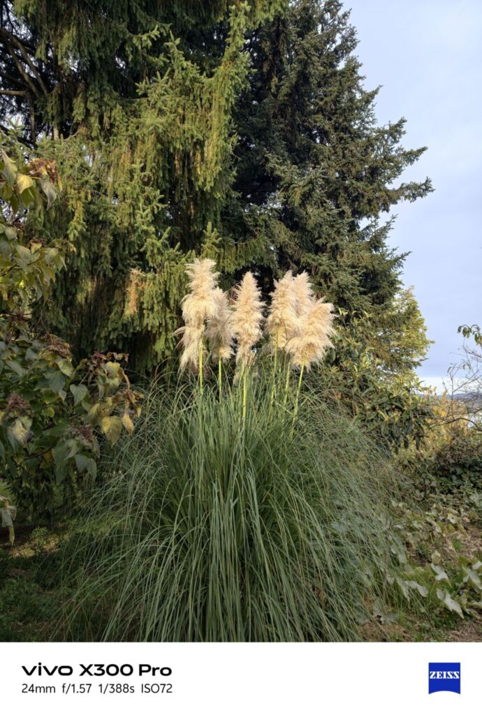 أنا أعيش X300 PRO