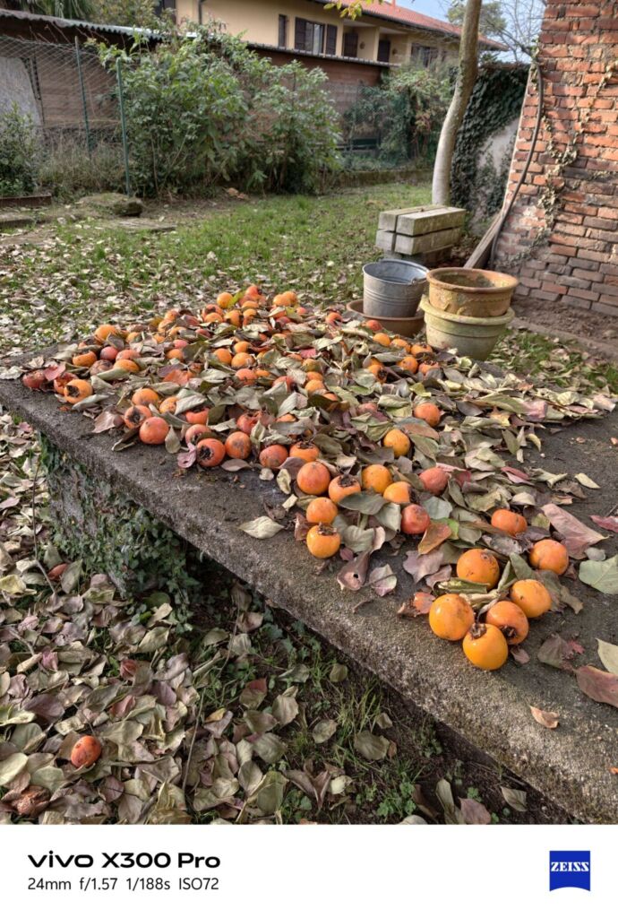 أنا أعيش X300 PRO