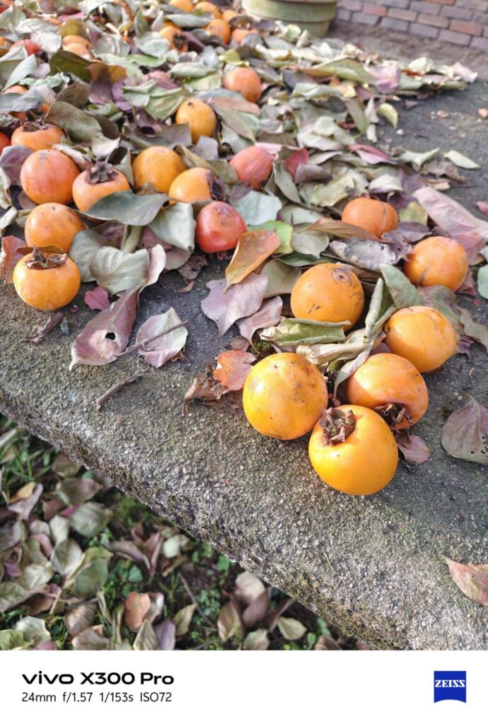 أنا أعيش X300 PRO