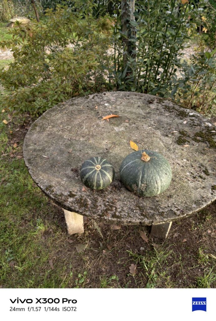 أنا أعيش X300 PRO