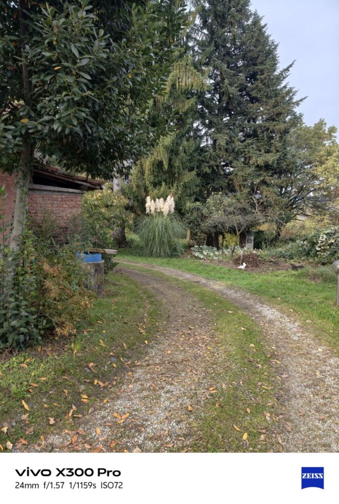 أنا أعيش X300 PRO