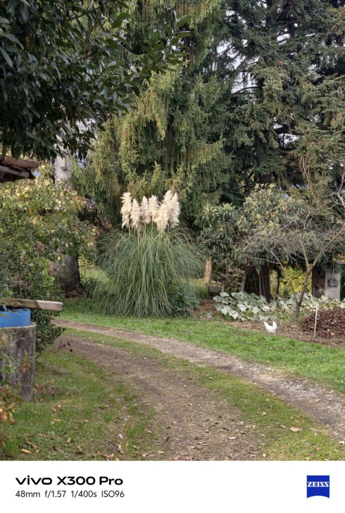 أنا أعيش X300 PRO