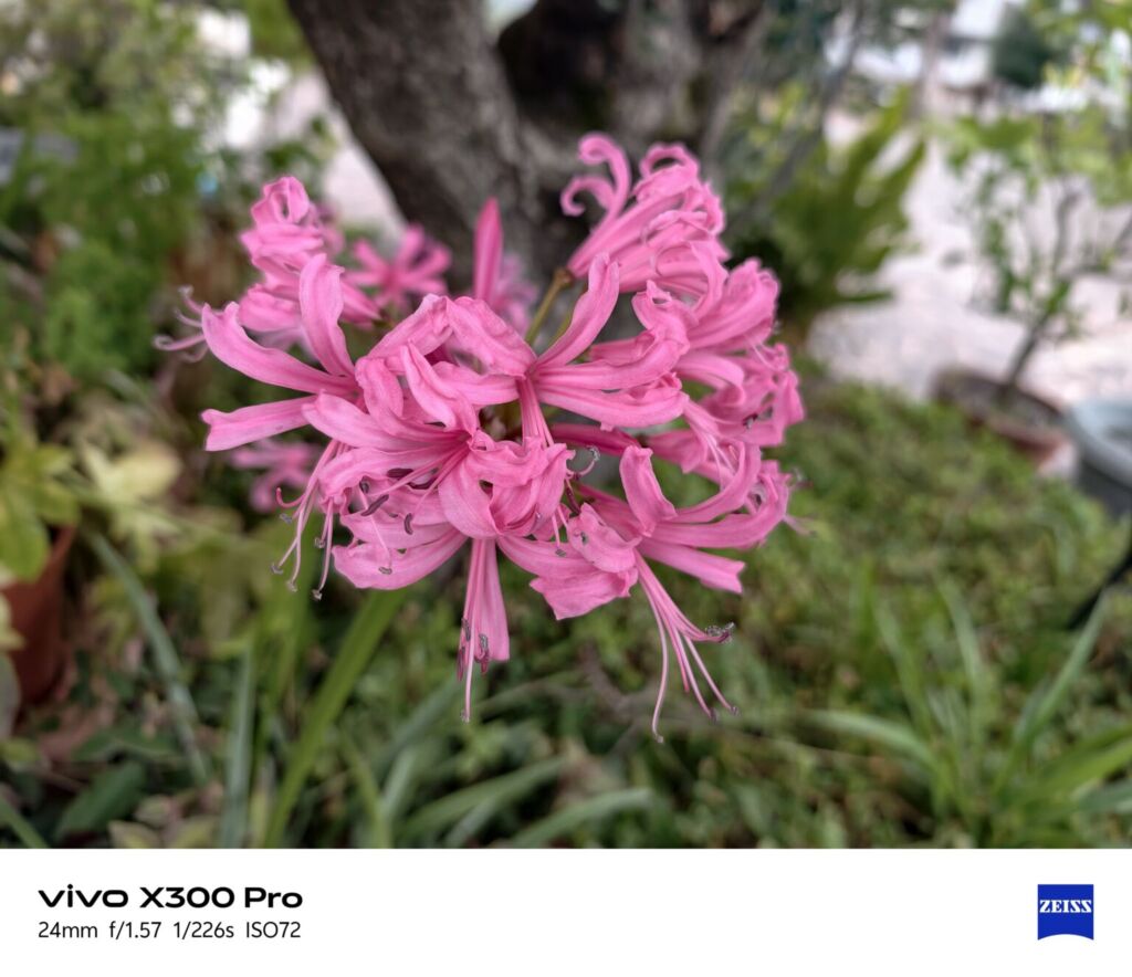 أنا أعيش X300 PRO