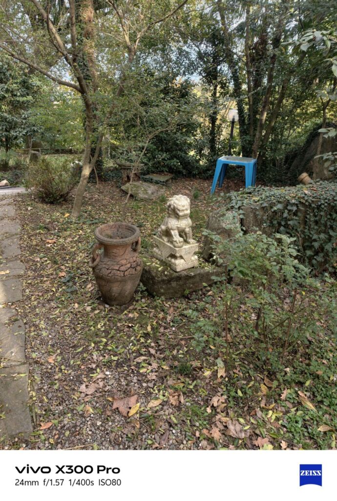 أنا أعيش X300 PRO