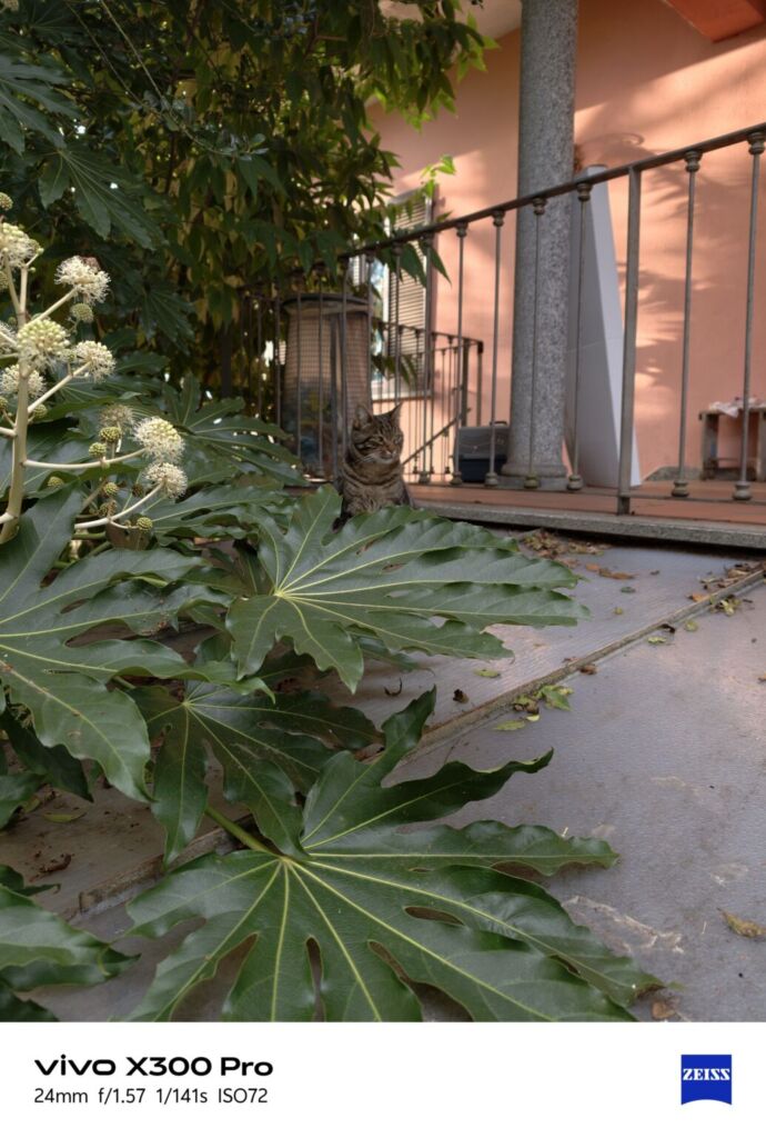 أنا أعيش X300 PRO