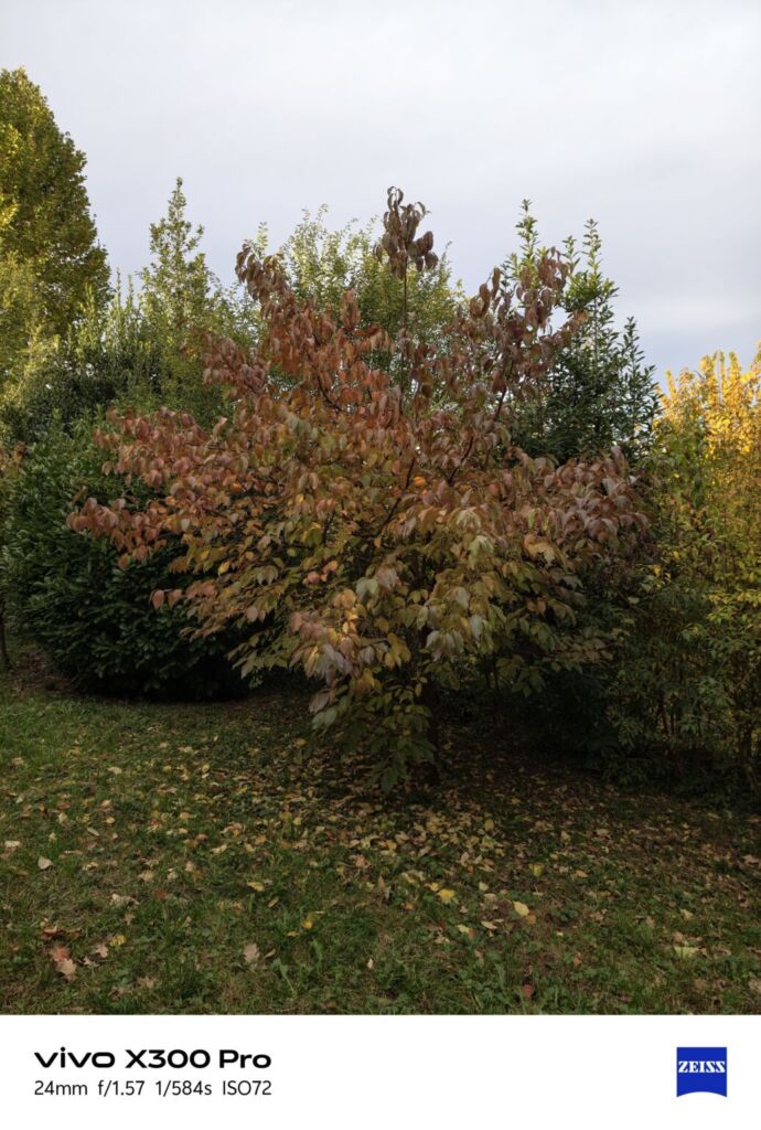 أنا أعيش X300 PRO