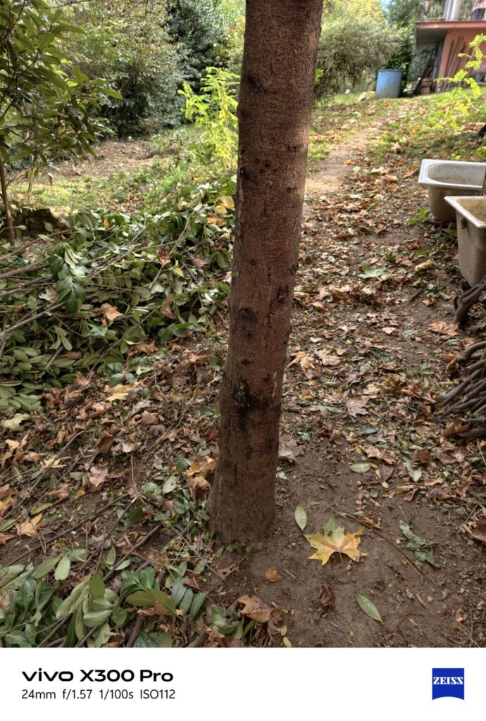 أنا أعيش X300 PRO