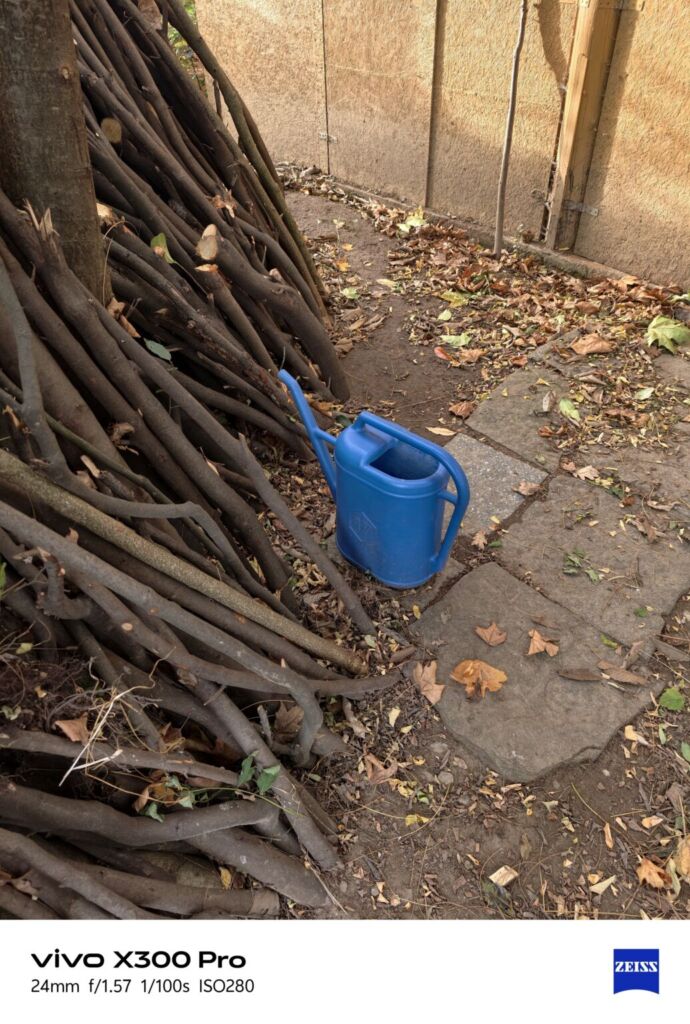 أنا أعيش X300 PRO