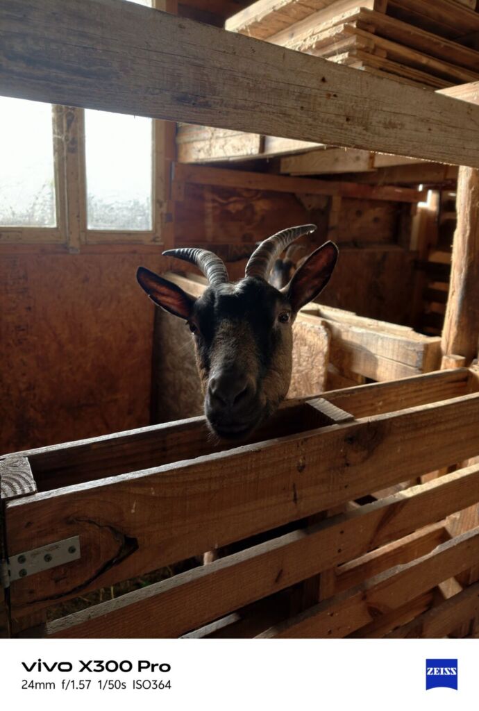 أنا أعيش X300 PRO