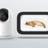 Redmi 9T ufficiale con Snapdragon 662 e NFC a partire da 159€
