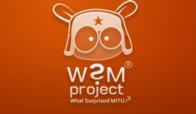 WSMtools hersiening