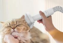 JIGOO P300: Il Kit aspirapolvere 11 in 1 per la cura e la pulizia dei tuoi animali domestici