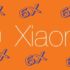 Il rapporto IDC per il 2017 celebra Xiaomi come azienda più in crescita nel settore smartphone