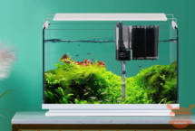 Su Youpin approda un nuovo acquario con illuminaziona a LED ed effetto cascata