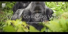 Ufficiale il nuovo Corning Gorilla Glass 7 (VICTUS) in grado di resistere a cadute fino a 2 metri