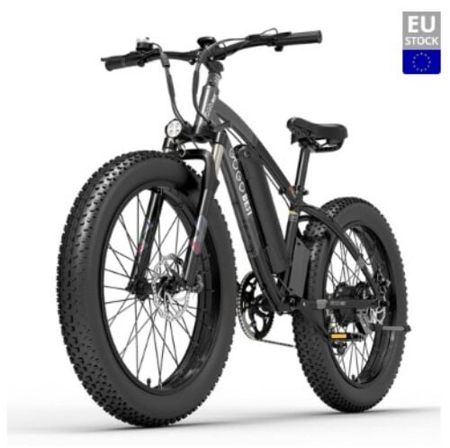 Bici Elettrica GOGOBEST GF600