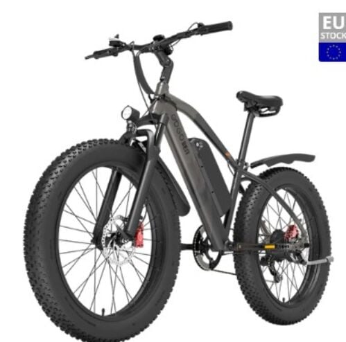 Bici Elettrica GOGOBEST GF600 Plus