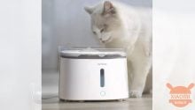 Homen Pet Water Dispenser disajikan: dispenser air hewan peliharaan yang ekonomis dan bertenaga nirkabel