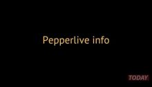 Pepperlive streaming: tutte le info