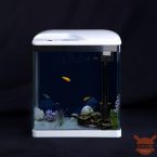 Xiaomi bringt SOBO auf den Markt, das gebrauchsfertige, wirtschaftliche und funktionale Aquarium