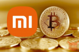 Xiaomi come Tesla: inizia ad accettare Bitcoin come pagamento | AGGIORNAMENTO