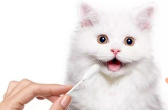小米众筹狗猫基因测试